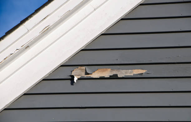 Best Vinyl Siding Installation  in St Albans, VT